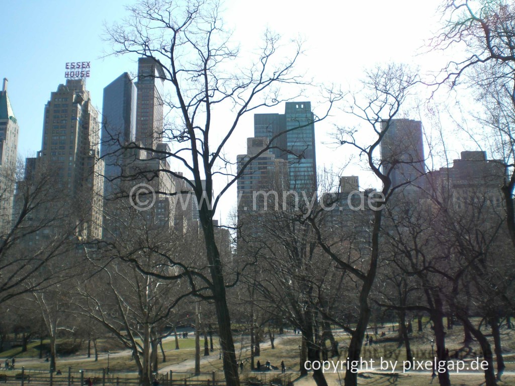 NewYork-53