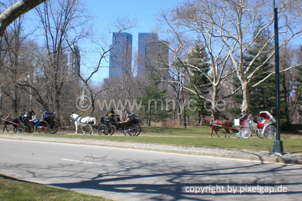 NewYork-87